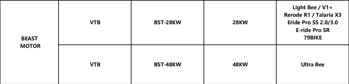 VTB BEAST-Motor 28kw/48kw